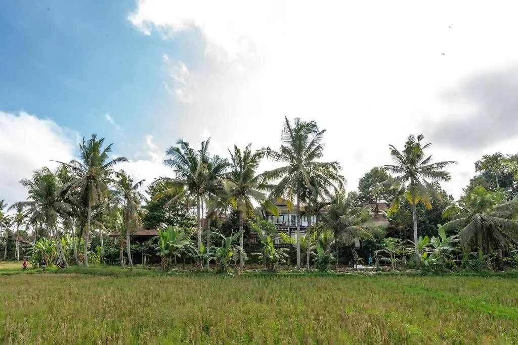 Family Oasis, 2 Bedrooms, Shared Pool, Garden, Rice Field View Ubud Vila